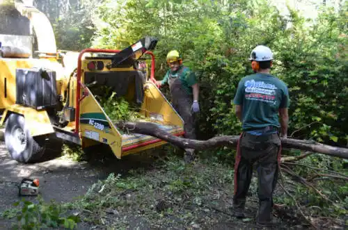 tree services Santa Clarita